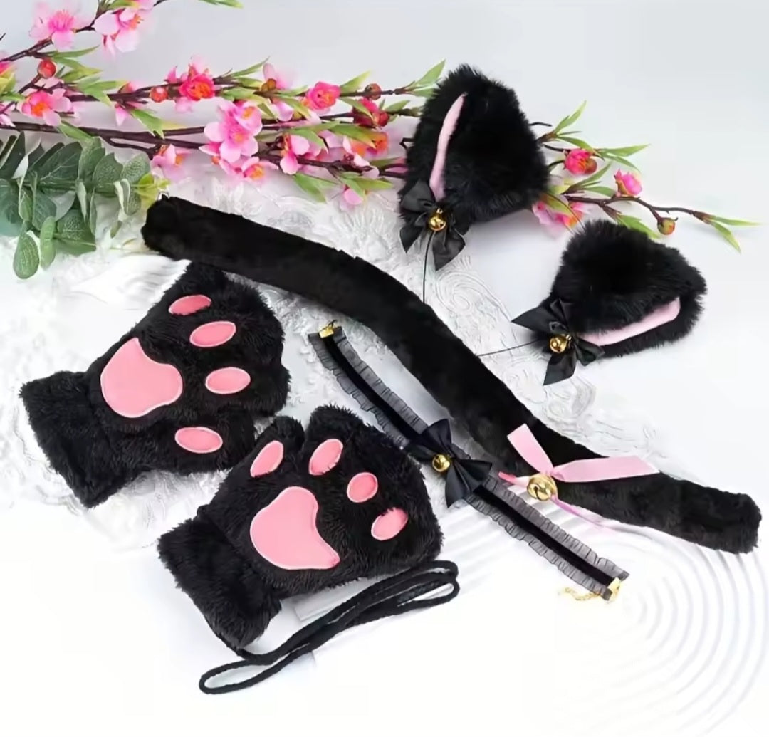 Midnight Meow!